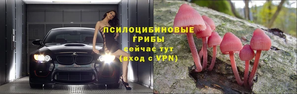 винт Туринск