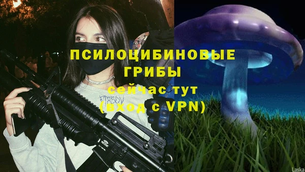 соль ск Тутаев
